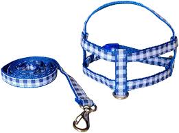 Coleira ajustável para cães de pequeno porte